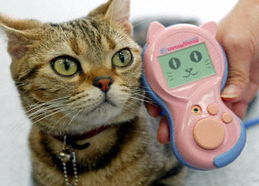 圖文 貓語(yǔ) 便攜電子翻譯器日本東京問世